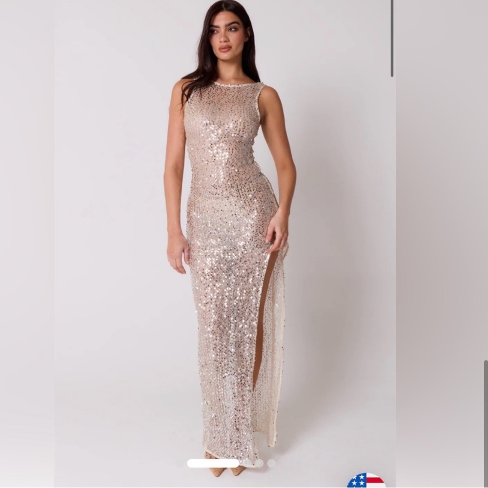 Petite Dylan Silver Dress - Picture 4 of 5
